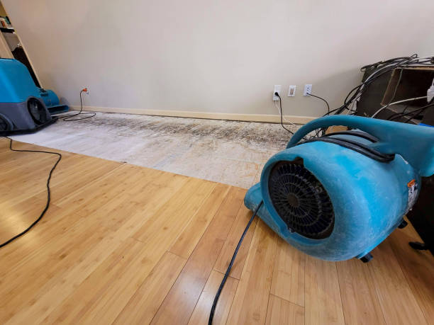 Professional Water Damage Repair technician working in Allardt, TN